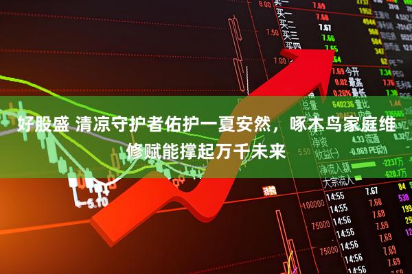 好股盛 清凉守护者佑护一夏安然，啄木鸟家庭维修赋能撑起万千未来