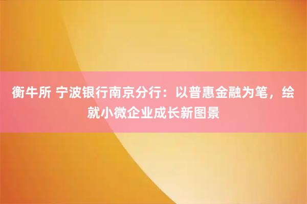 衡牛所 宁波银行南京分行：以普惠金融为笔，绘就小微企业成长新图景