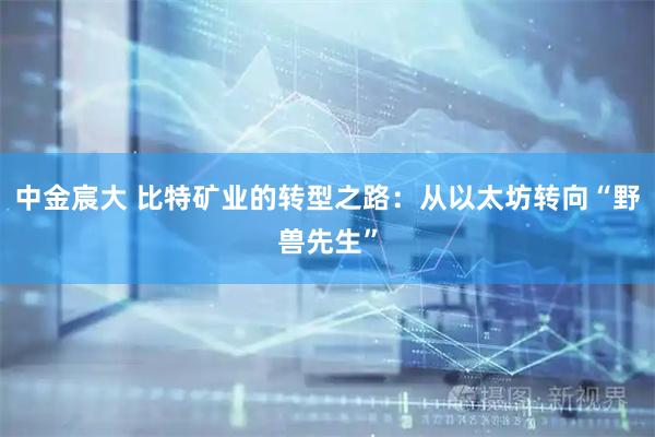 中金宸大 比特矿业的转型之路：从以太坊转向“野兽先生”
