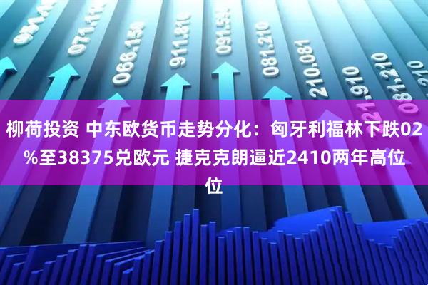 柳荷投资 中东欧货币走势分化：匈牙利福林下跌02%至38375兑欧元 捷克克朗逼近2410两年高位