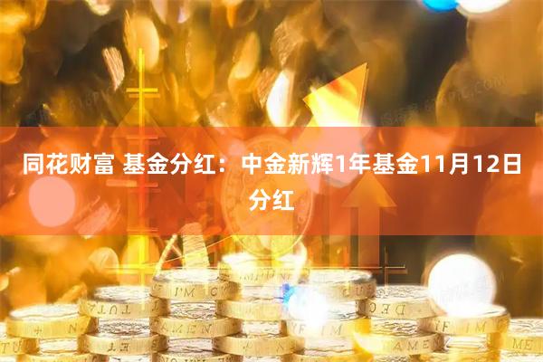同花财富 基金分红：中金新辉1年基金11月12日分红