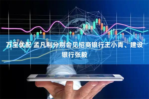 万宝优配 孟凡利分别会见招商银行王小青、建设银行张毅